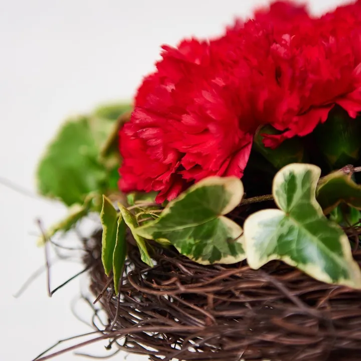 Buchet în Forma de Inimă din Garoafe Catifelate Rosii "Be My Valentine"