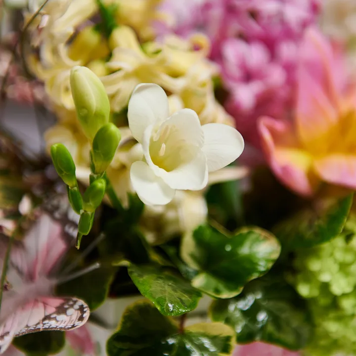 Aranjament Floral de Primavara cu Zambile Parfumate
