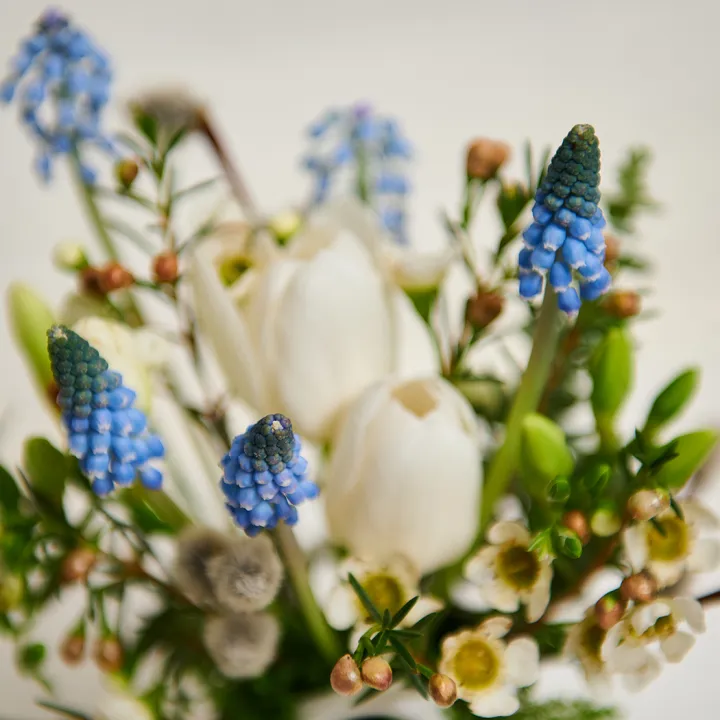 Aranjament Floral cu Gentuță Ceramică