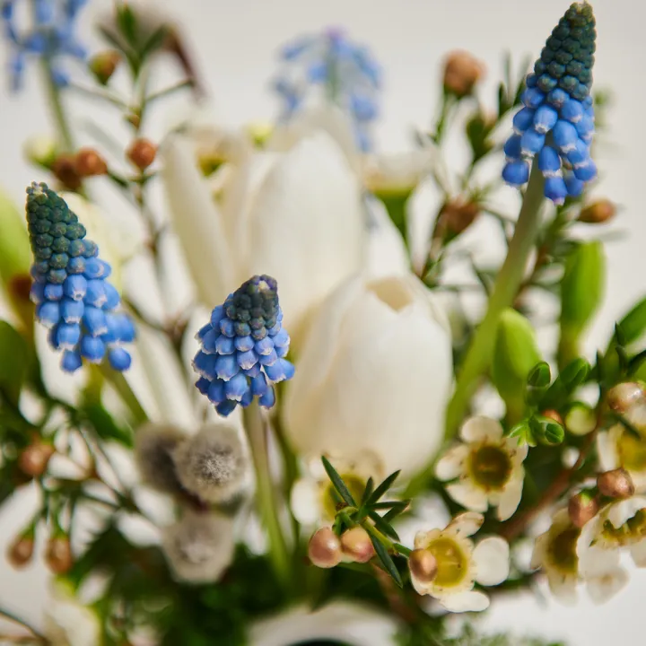 Aranjament Floral cu Gentuță Ceramică