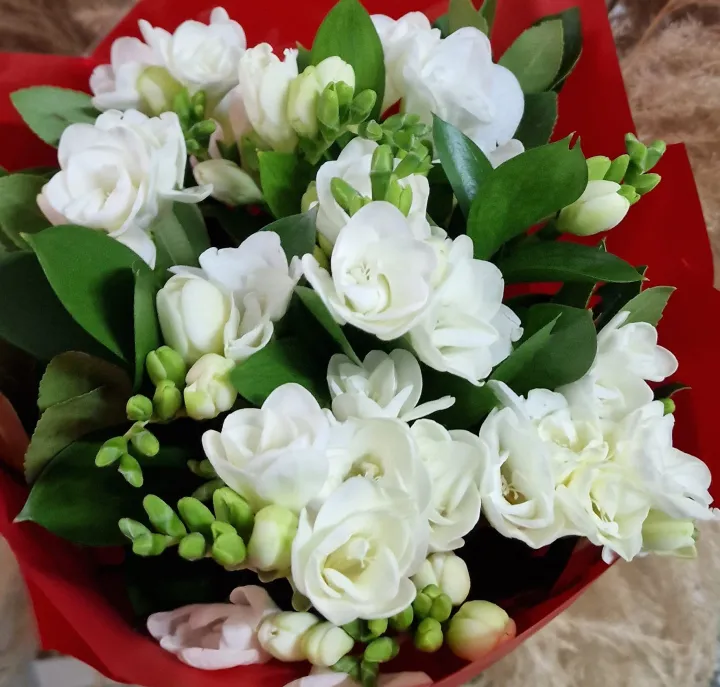 Buchet din Frezii Parfumate