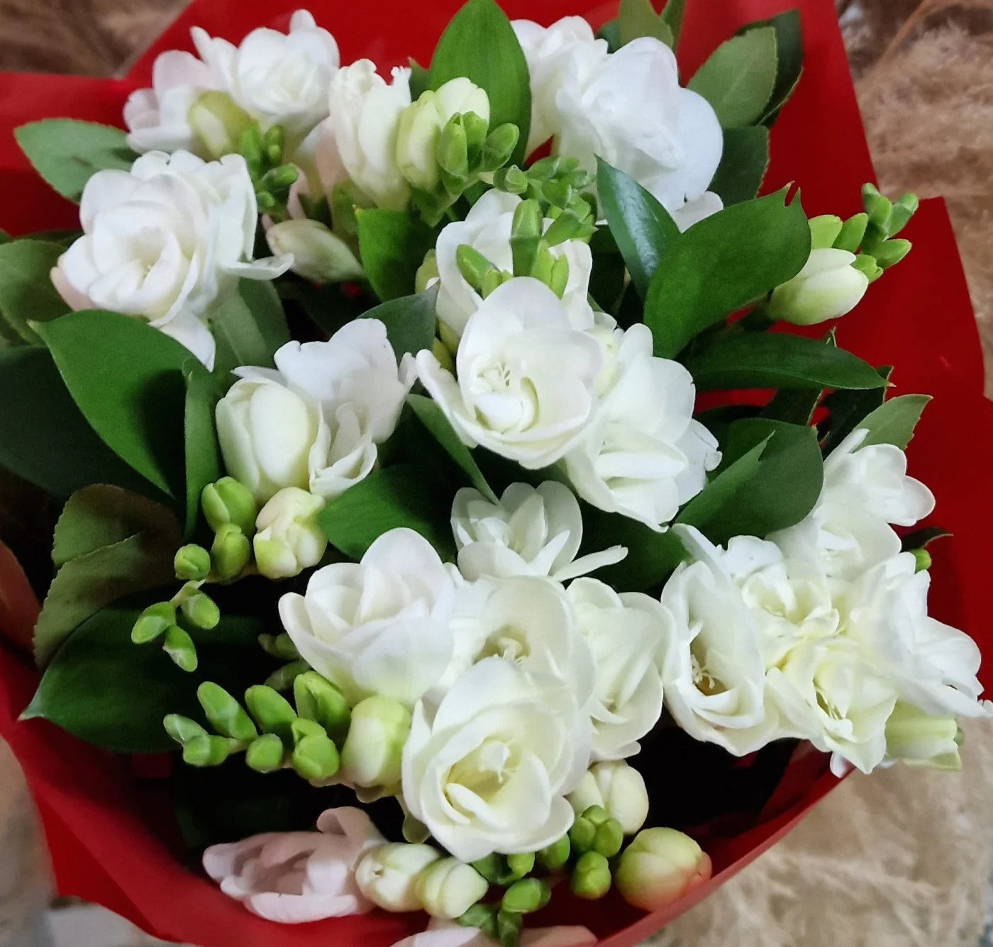 Buchet din Frezii Parfumate