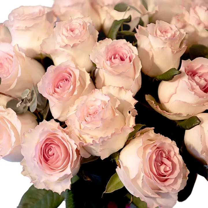 Eleganță în Roz 🌿: Buchet Premium cu 25 de Trandafiri