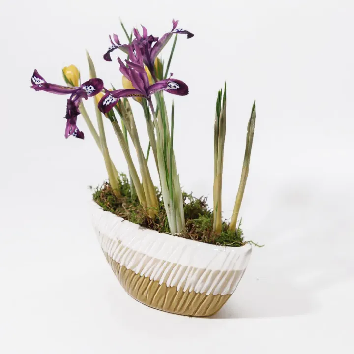 Aranjament Primăvară cu Iris Mov, Bulb de Crocus și Mușchi natural – Vas Ceramic