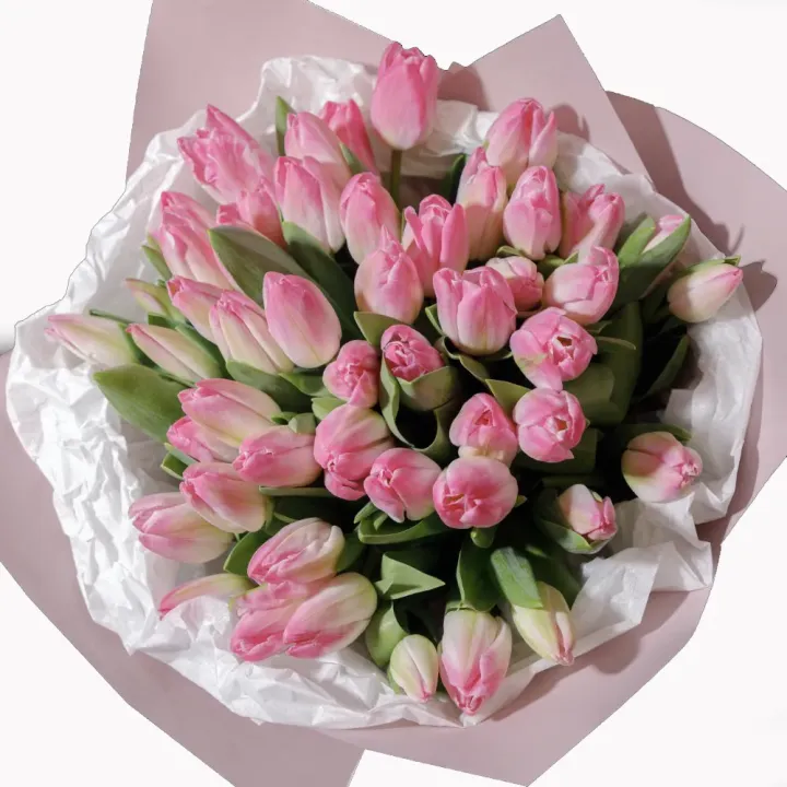 Buchet Generos cu 49 de Lalele Roz – Delicatețe în Stil Clasic