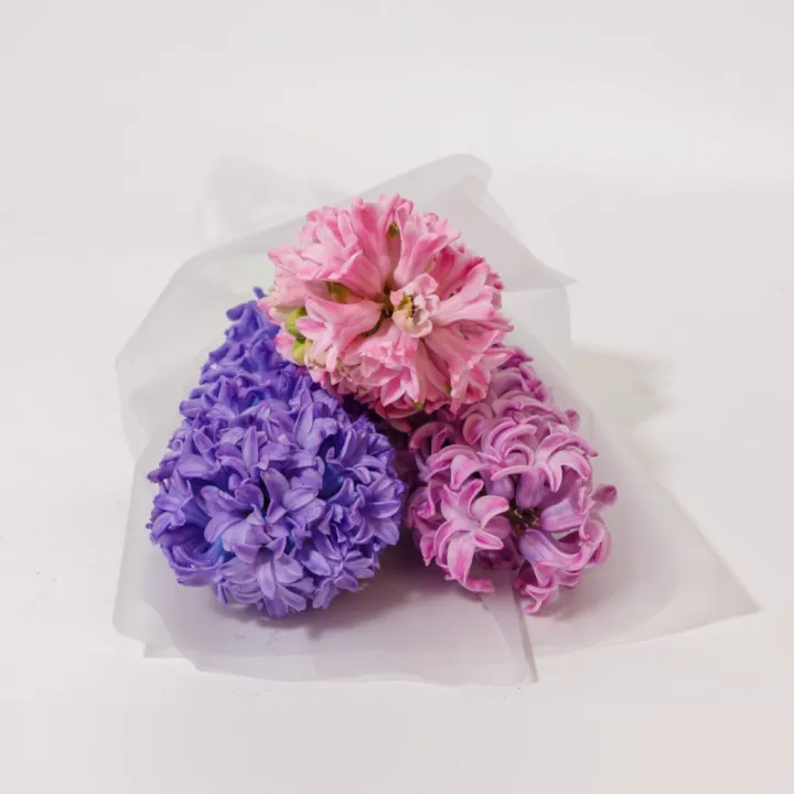 Buchet de Primăvară cu 3 Zambile Parfumate – Culori Mixte