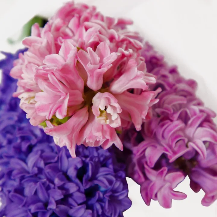 Buchet de Primăvară cu 3 Zambile Parfumate – Culori Mixte