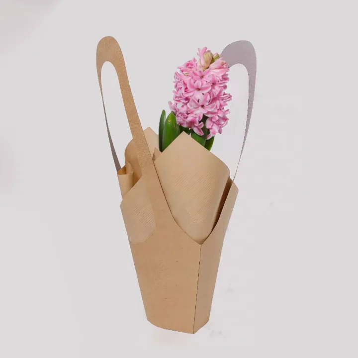 Zambilă Parfumată la Ghiveci în Ambalaj Kraft cu Mâner – Diverse Culori